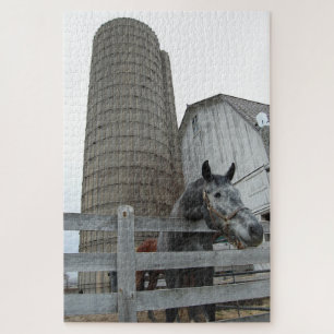 Niedliches Pferd vor Silo