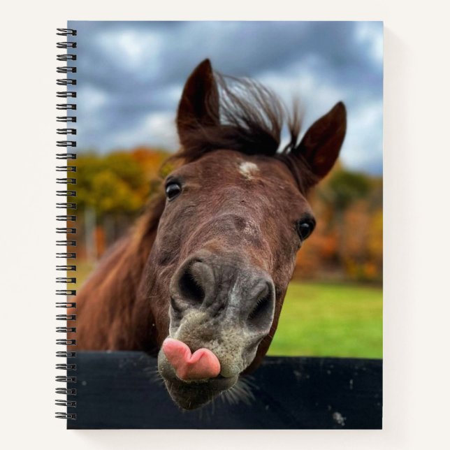 Niedliches Pferdeschlittenheft Notizbuch (Vorderseite)