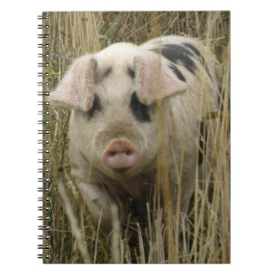 Niedliches Pig-Notebook Notizblock