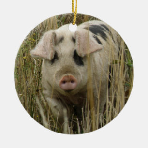 Niedliches Ping Custom Geburtstag Keramikornament