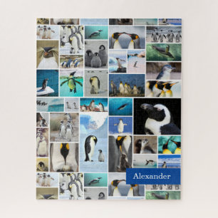 Niedliches Pinguin-Fotokollagenmuster mit Vorname