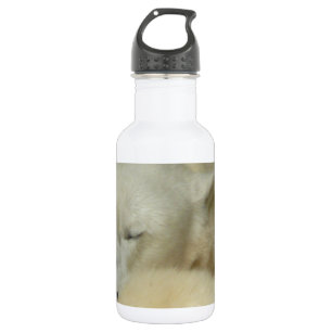 Niedliches polare trinkflasche