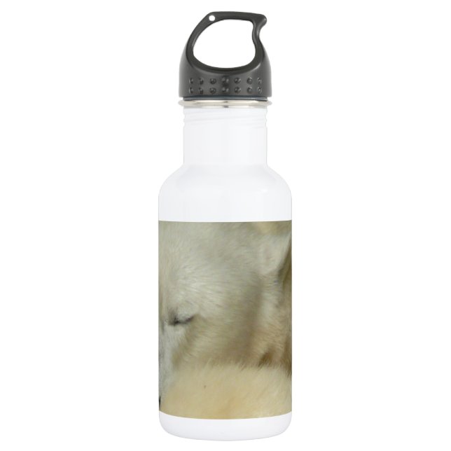 Niedliches polare trinkflasche (Vorderseite)