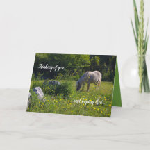 Niedliches Pony, Pferd, Natur grün, denken Sie an 