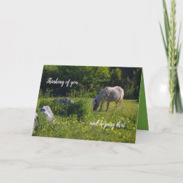 Niedliches Pony, Pferd, Natur grün, denken Sie an  Karte