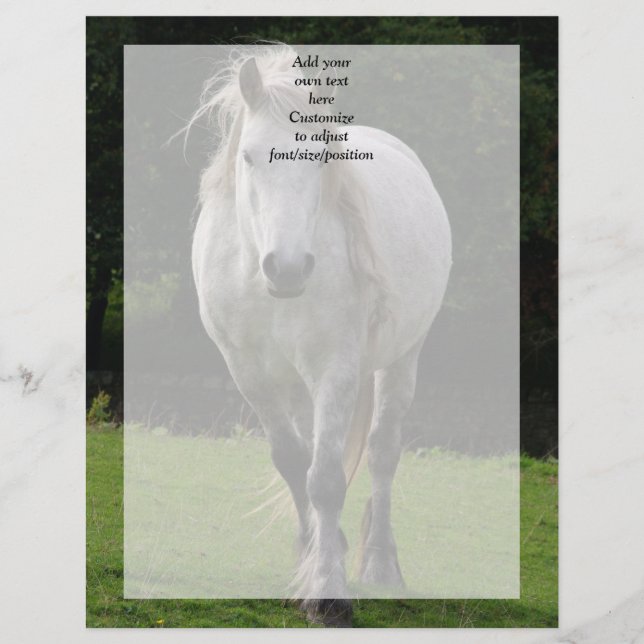 Niedliches Ponyfoto (Vorderseite)