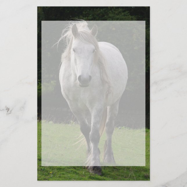 Niedliches Ponyfoto Briefpapier (Vorderseite)