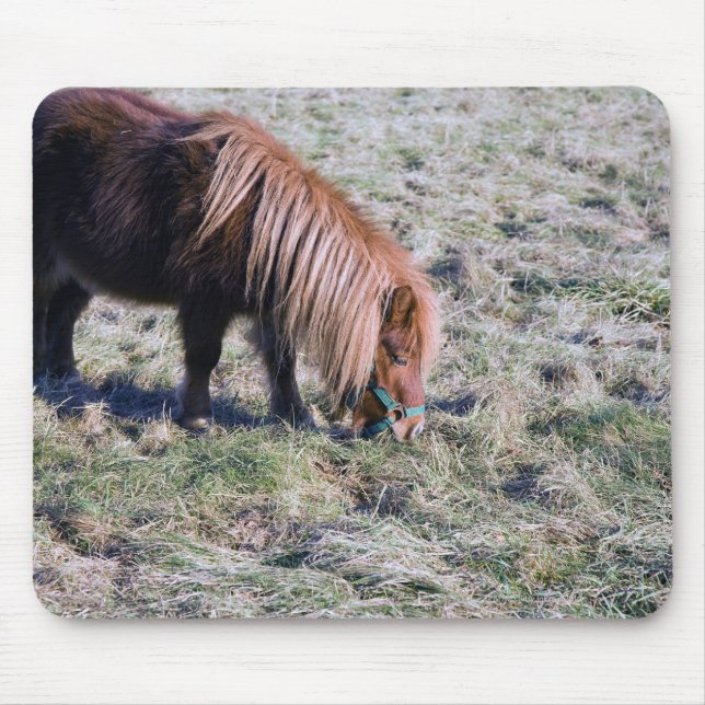 Niedliches Ponyweiden auf dem Paddock. Mousepad (Vorne)