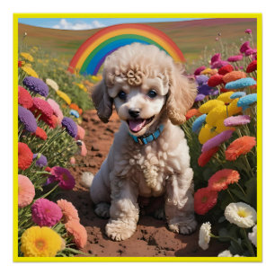 Niedliches Poodle Farbenfrohe Blume und Regenbogen Poster