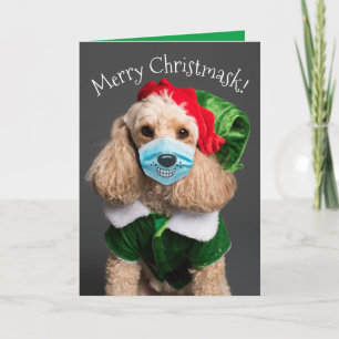 Niedliches Poodle mit Gesichtsmaske - Fröhliche Ch Feiertagskarte