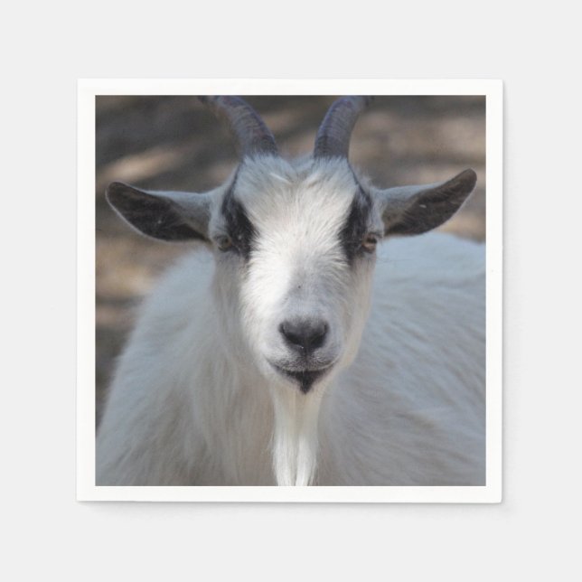 Niedliches Portrait-Foto Serviette (Vorderseite)