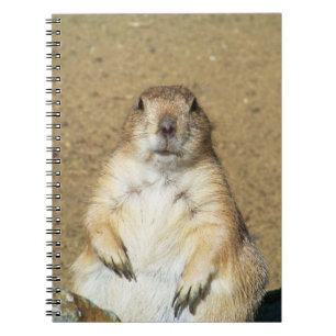 Niedliches Prairie-Dog-Notebook Notizblock