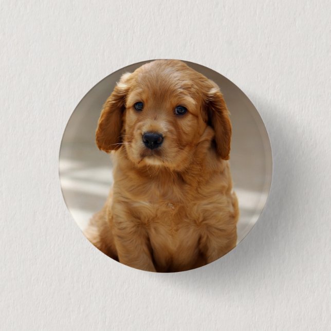Niedliches Puppy-Portrait-Foto Button (Vorderseite)