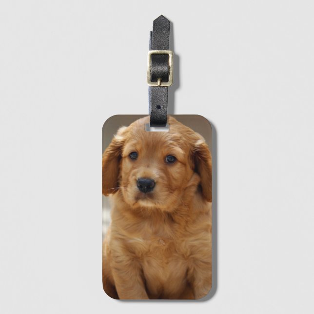 Niedliches Puppy-Portrait-Foto Gepäckanhänger (Vorderseite Vertikal)