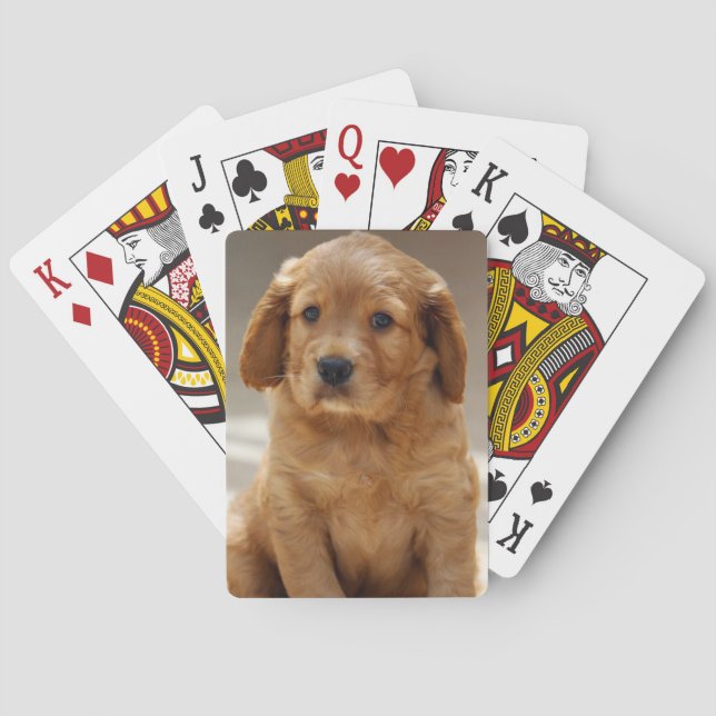 Niedliches Puppy-Portrait-Foto Spielkarten (Rückseite)