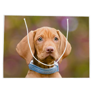 Niedliches puppyeyed Ungar Vizsla Große Geschenktüte