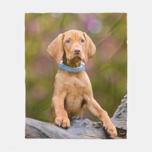 Niedliches puppyeyed Ungar Vizsla Hundewelpen-Foto Fleecedecke