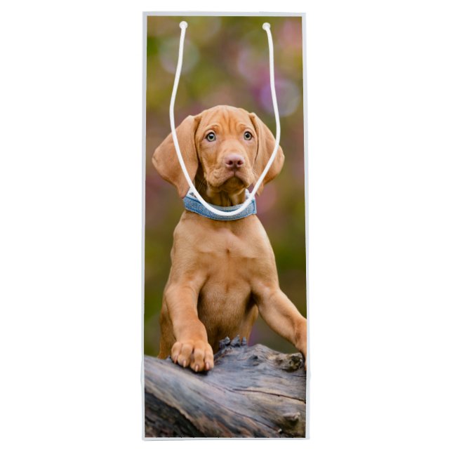 Niedliches puppyeyed Ungar Vizsla Hundewelpen-Foto Geschenktüte Für Weinflaschen (Rückseite)