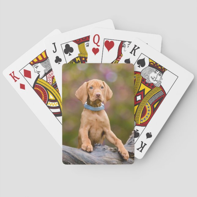 Niedliches puppyeyed Ungar Vizsla Spielkarten (Rückseite)