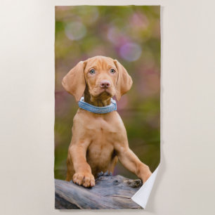 Niedliches puppyeyed Ungar Vizsla Strandtuch