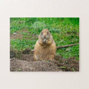 Niedliches Puzzle "Little Black-Tails" von Prairie