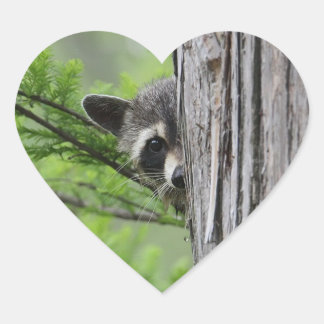 Niedliches Raccoon Herz-Aufkleber