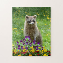 Niedliches Raccoon im Blumengarten