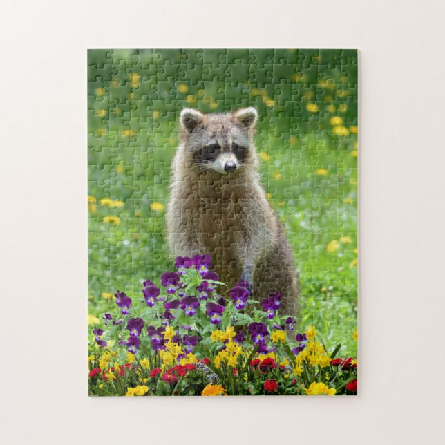 Niedliches Raccoon im Blumengarten (Vertikal)