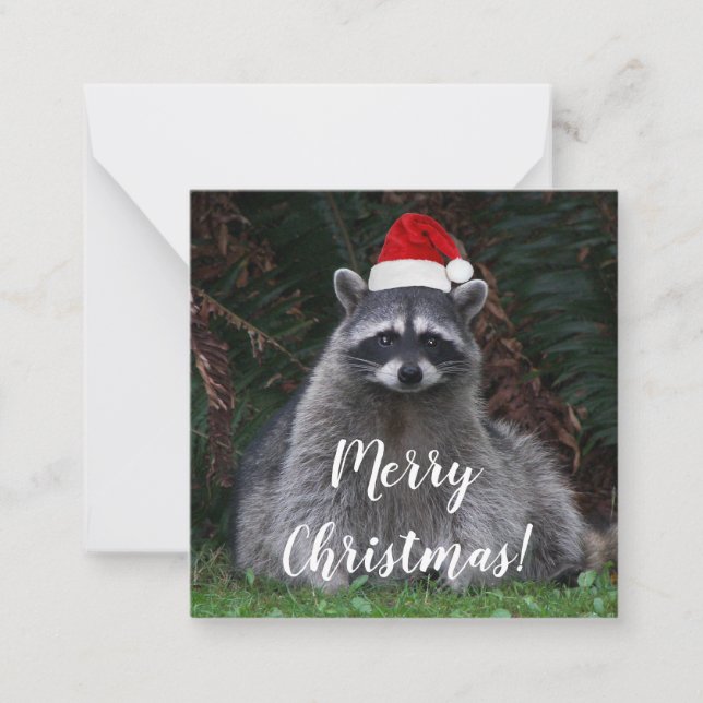 Niedliches Raccoon mit roter Weihnachtsmannmütze Mitteilungskarte (Vorderseite)