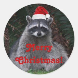 Niedliches Raccoon mit roter Weihnachtsmannmütze Runder Aufkleber