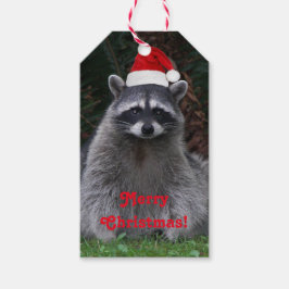 Niedliches Raccoon Rote Weihnachtsmannmütze Urlaub Geschenkanhänger