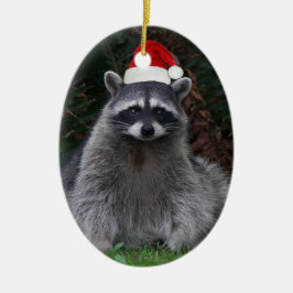 Niedliches Raccoon Rote Weihnachtsmannmütze Urlaub Keramik Ornament