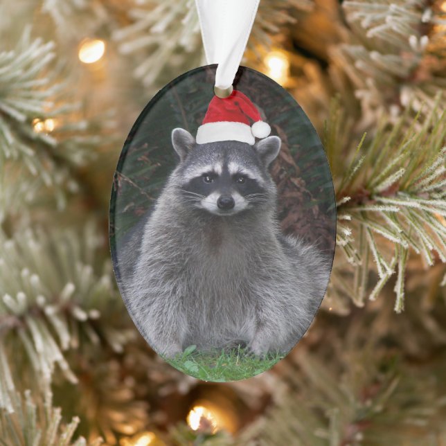 Niedliches Raccoon Rote Weihnachtsmannmütze Urlaub Ornament (Baum)