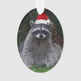 Niedliches Raccoon Rote Weihnachtsmannmütze Urlaub Ornament