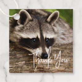 Niedliches Raccoon-Ruhen auf einem Log Vielen Dank Geschenkanhänger