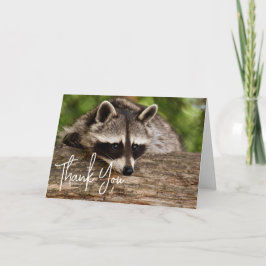 Niedliches Raccoon-Ruhen auf einem Log Vielen Dank Karte
