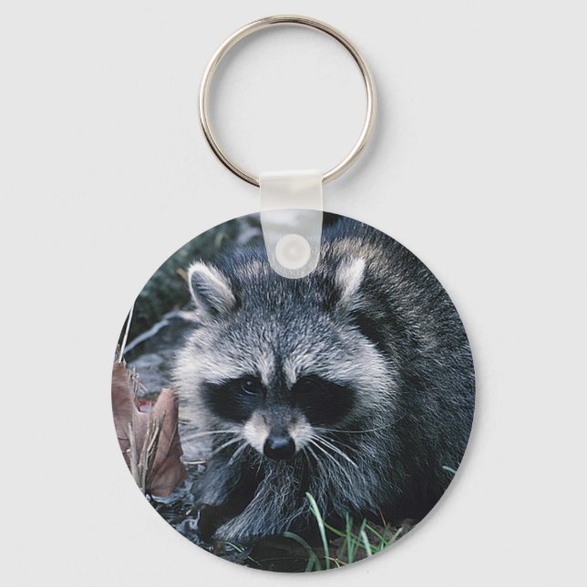 Niedliches Raccoon Schlüsselanhänger (Vorderseite)