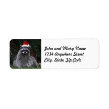 Niedliches Raccoon Tragen der Roten Weihnachtsmann