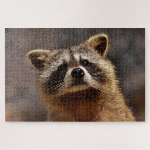 Niedliches Racoon