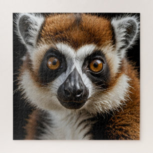 Niedliches Racoon