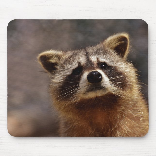 Niedliches Racoon Mousepad (Vorne)