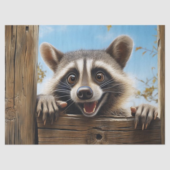 Niedliches Racoon-Tier-Dekoupage Seidenpapier (Vorderseite)