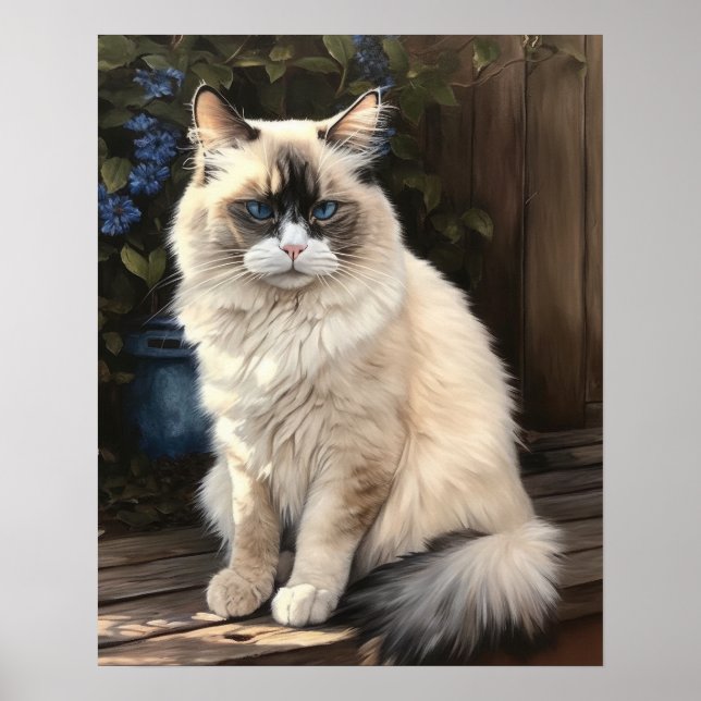 Niedliches Ragdoll Chat Art Print Poster (Vorne)