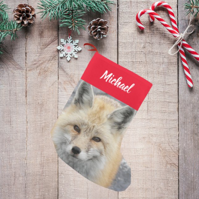 Niedliches Red Fox-Foto mit Name Kleiner Weihnachtsstrumpf (In Situ)