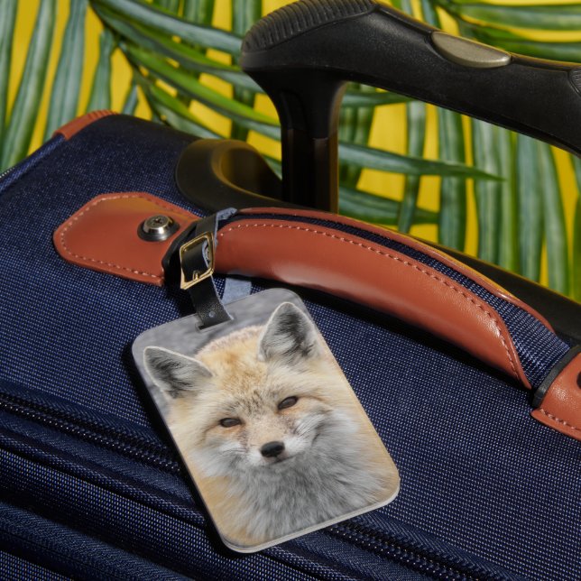 Niedliches Red Fox Wildlife Foto Gepäckanhänger (Vorderseite Insitu 1)