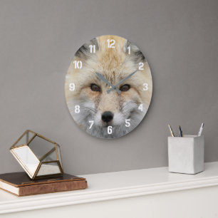 Niedliches Red Fox Wildlife Foto Große Wanduhr