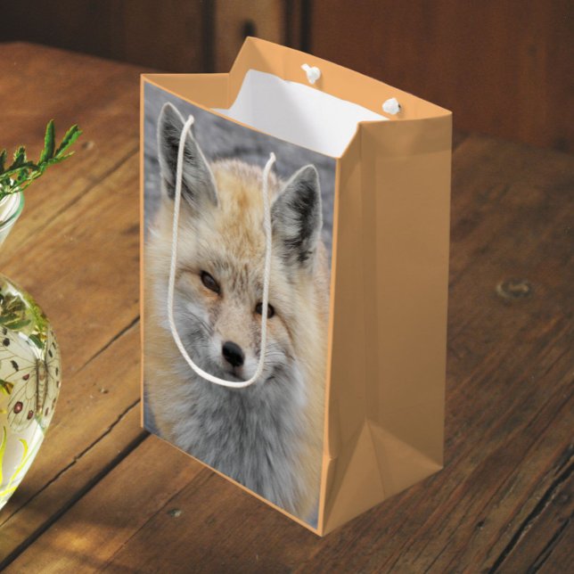 Niedliches Red Fox Wildlife Foto Mittlere Geschenktüte (In Situ)
