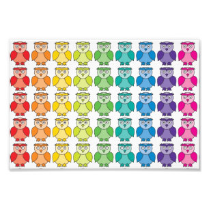 Niedliches Regenbogen-Eulen-Muster Fotodruck