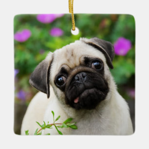 Niedliches rehbraunes Mops-Welpen-HundeFoto - Keramikornament