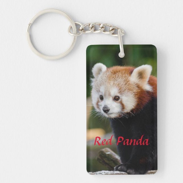 Niedliches roter Panda-Foto Schlüsselanhänger (Vorderseite)